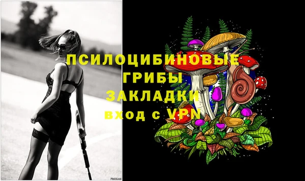 мяу мяу мука Верея