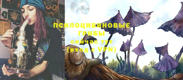 СК Волоколамск