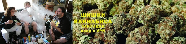 СК Волоколамск