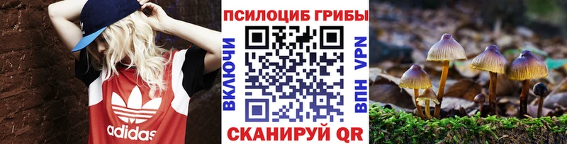 Псилоцибиновые грибы Psilocybine cubensis  Ветлуга 