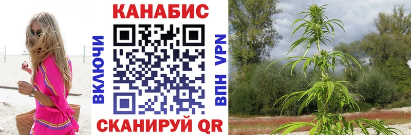 Канабис семена Ветлуга